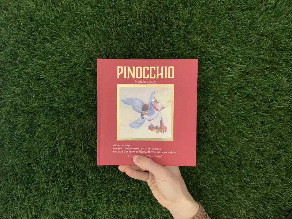 Libro Pinocchio 2023
