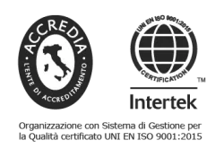 iso 9001 frog learning